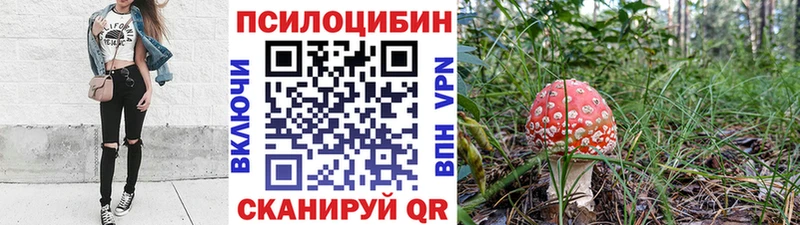 закладки  Алушта  ОМГ ОМГ ссылка  Псилоцибиновые грибы мицелий 
